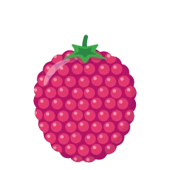 Raspberry