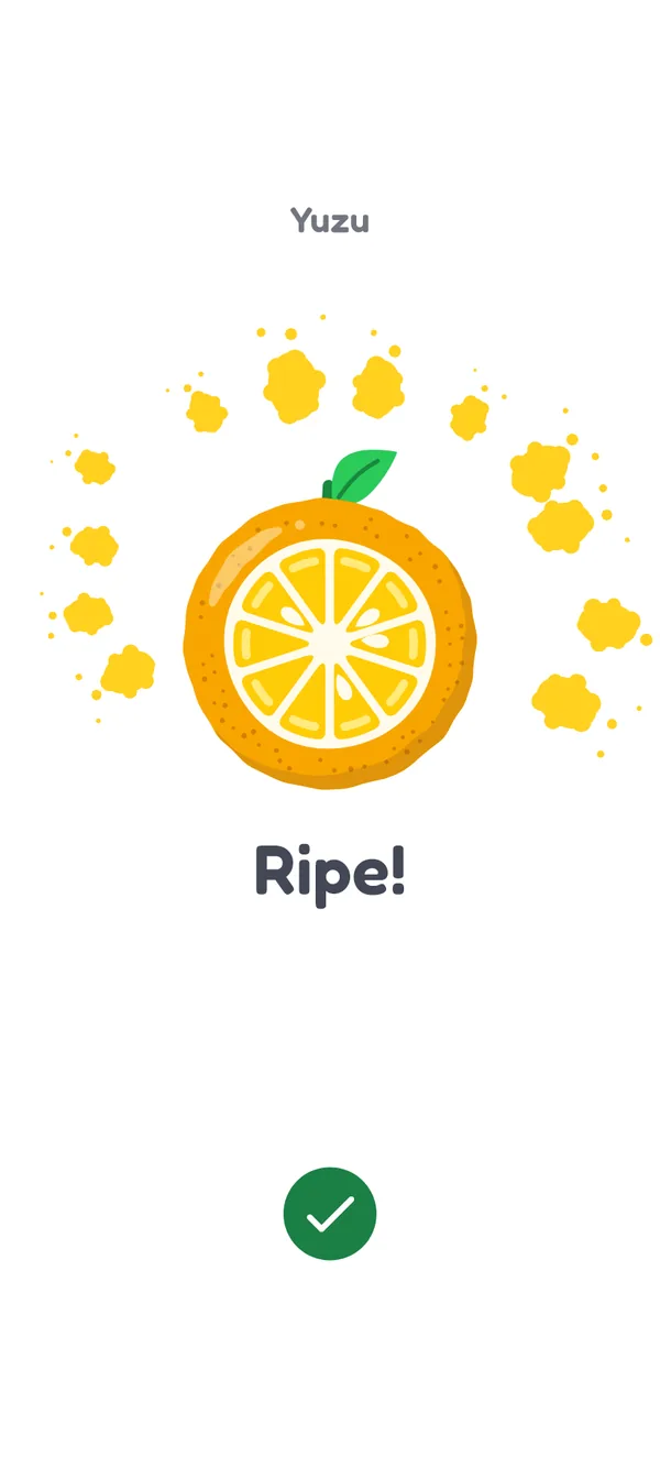 The finished timer: a fully ripe yuzu with juice splashes around it, the word Ripe! and a green check button.